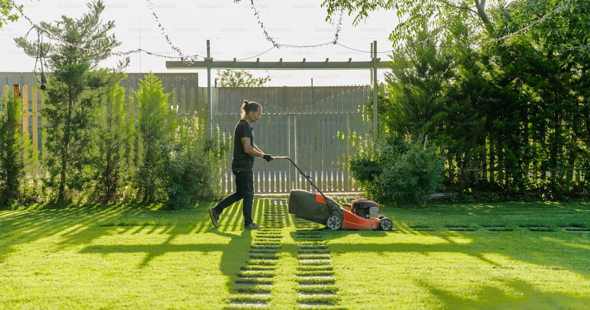 Cómo mantener tu jardín en Corrientes: guía por estación
