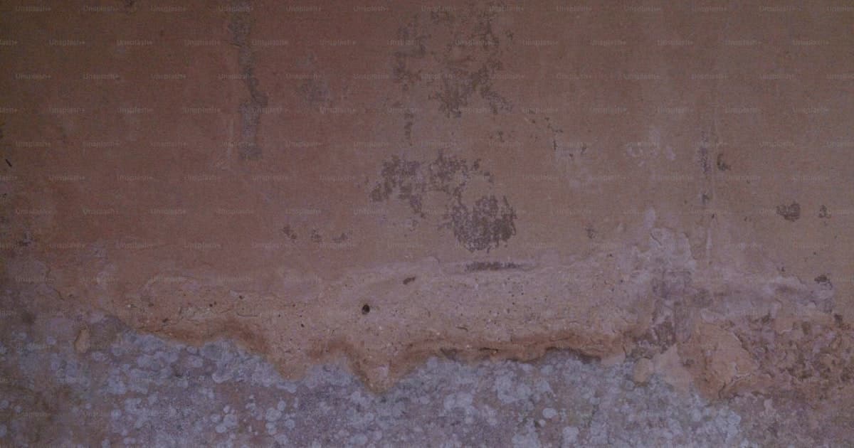 Problemas de humedad en Corrientes: causas, soluciones y a quién llamar